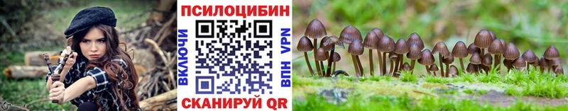 Галлюциногенные грибы мухоморы  мега ссылка  Мончегорск  купить  цена 